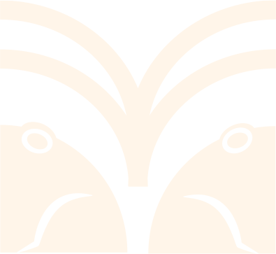 Salón de Eventos Hadas y Ranas Salón de Eventos Hadas y Ranas